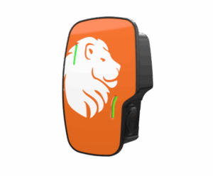 jml eplus zura branding example lion