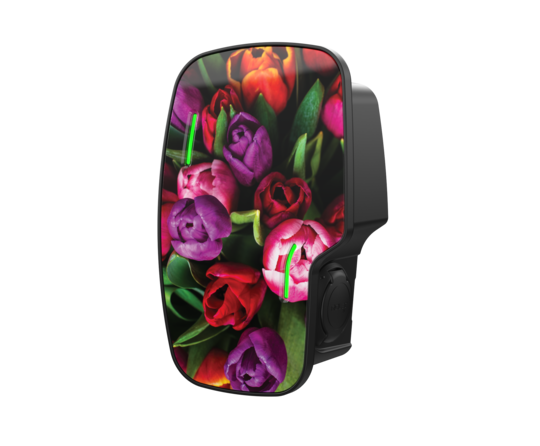 jml eplus zura branding example tulips 1