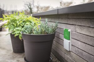 niko charger on wall with plants