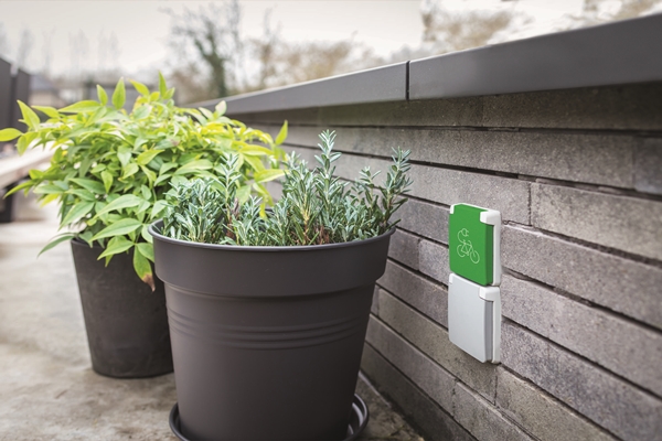 niko charger on wall with plants