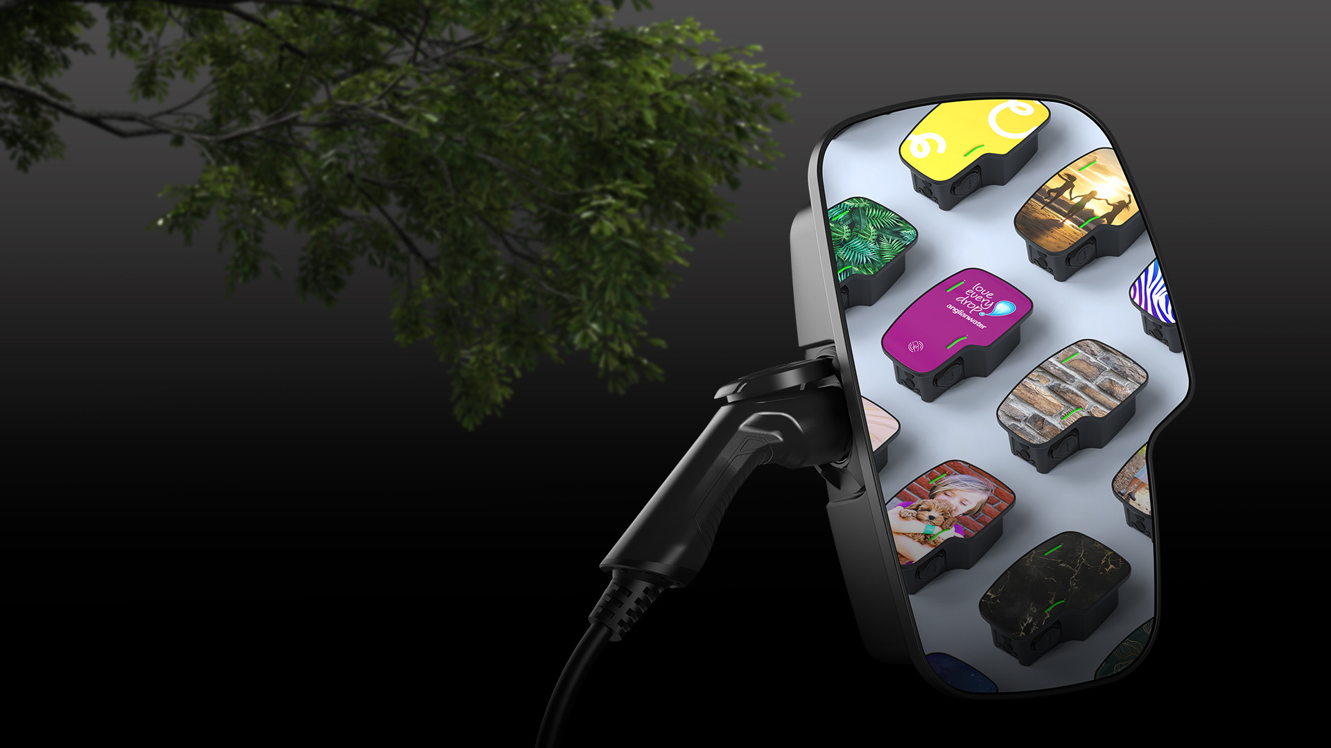 rolec zura parallax en